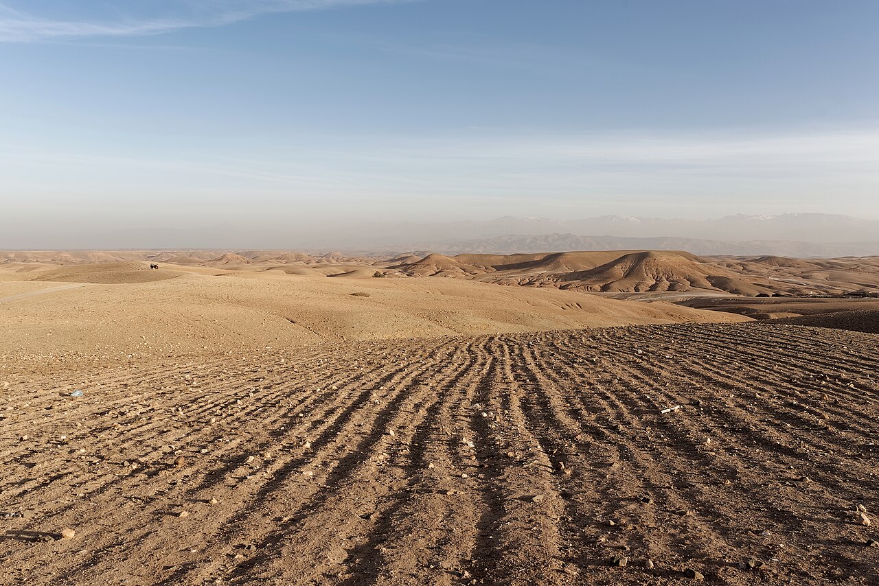 Agafay desert experience