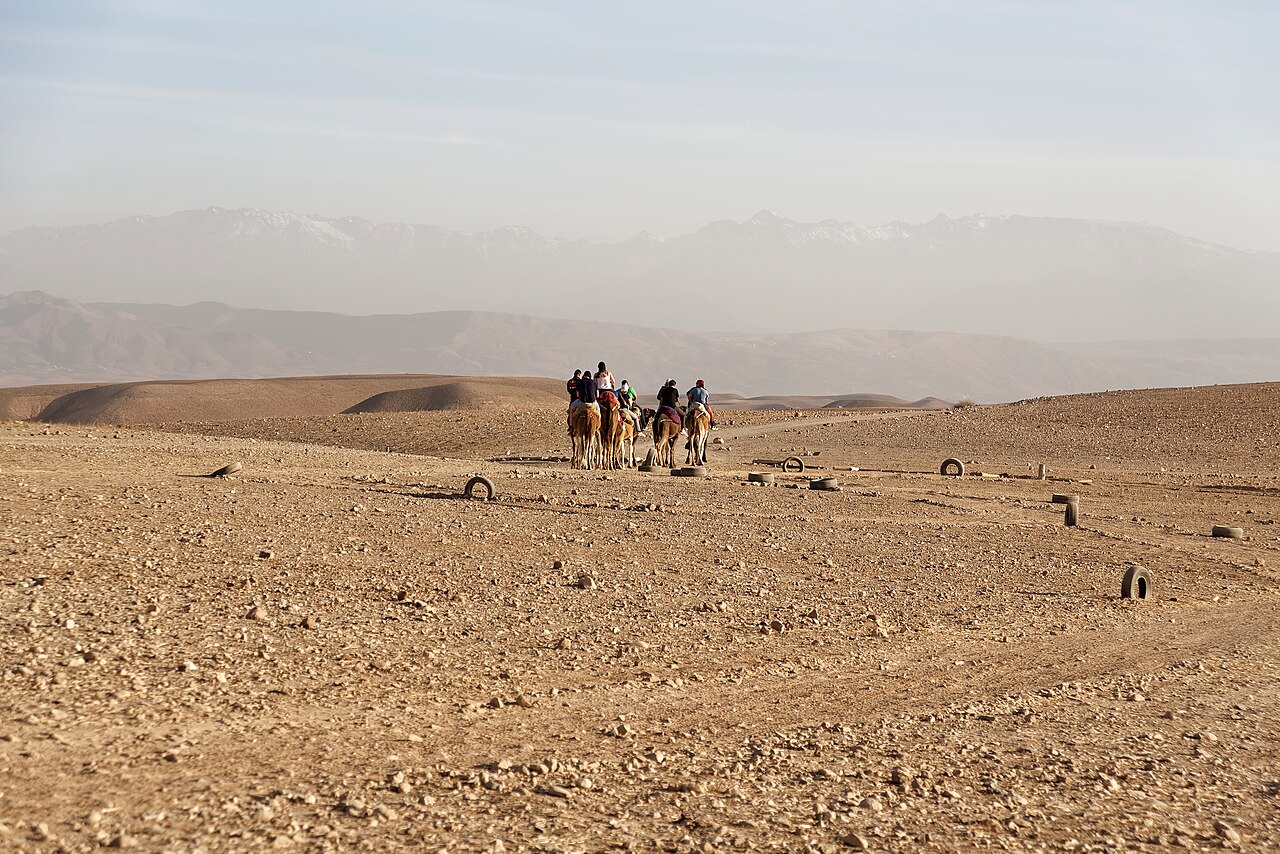 Agafay desert experience photo 2