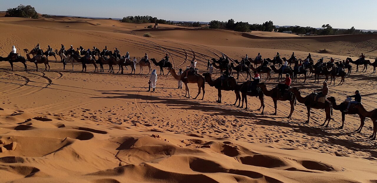 Camel riding