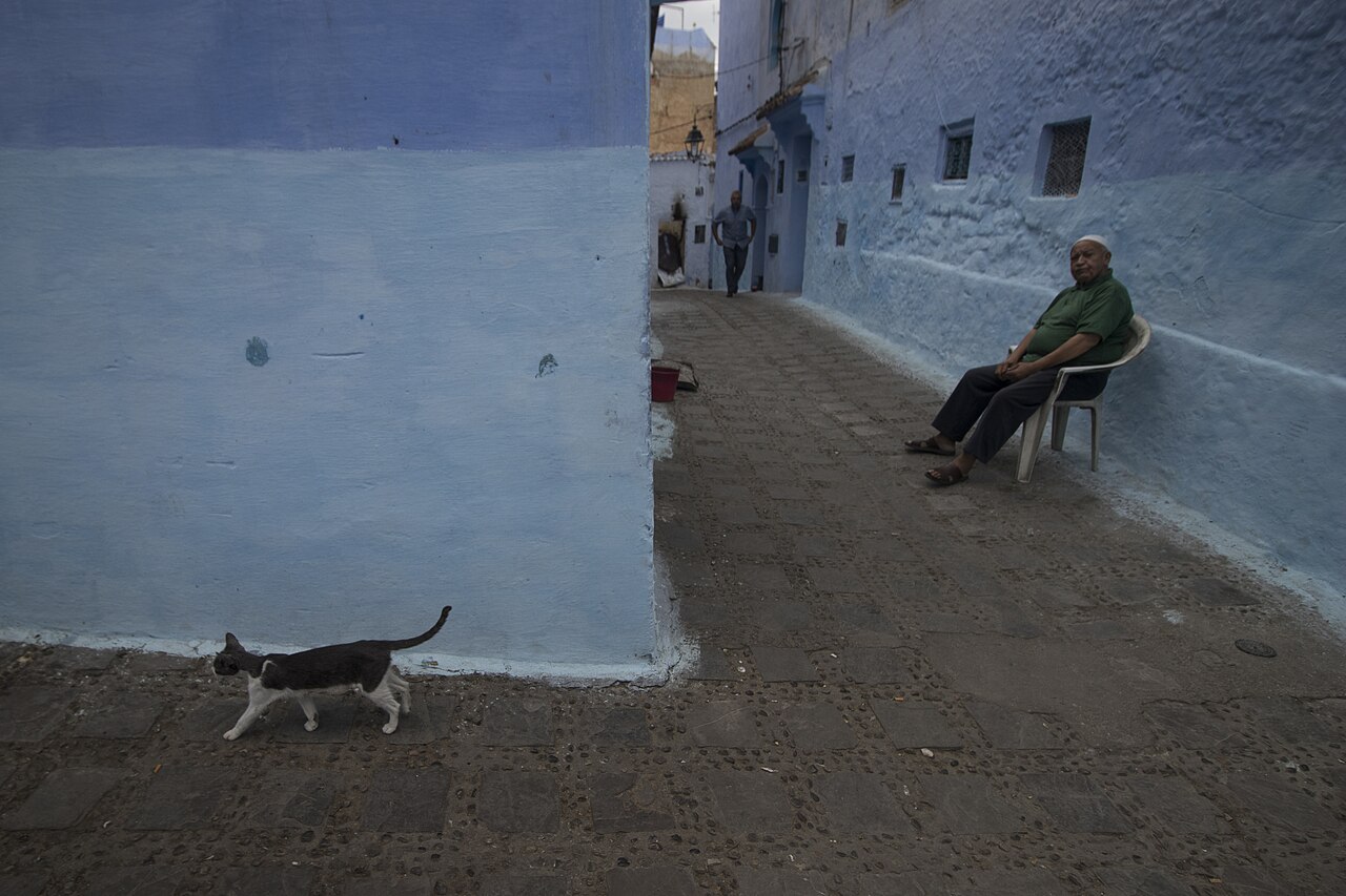 Chefchaouen, the blue city