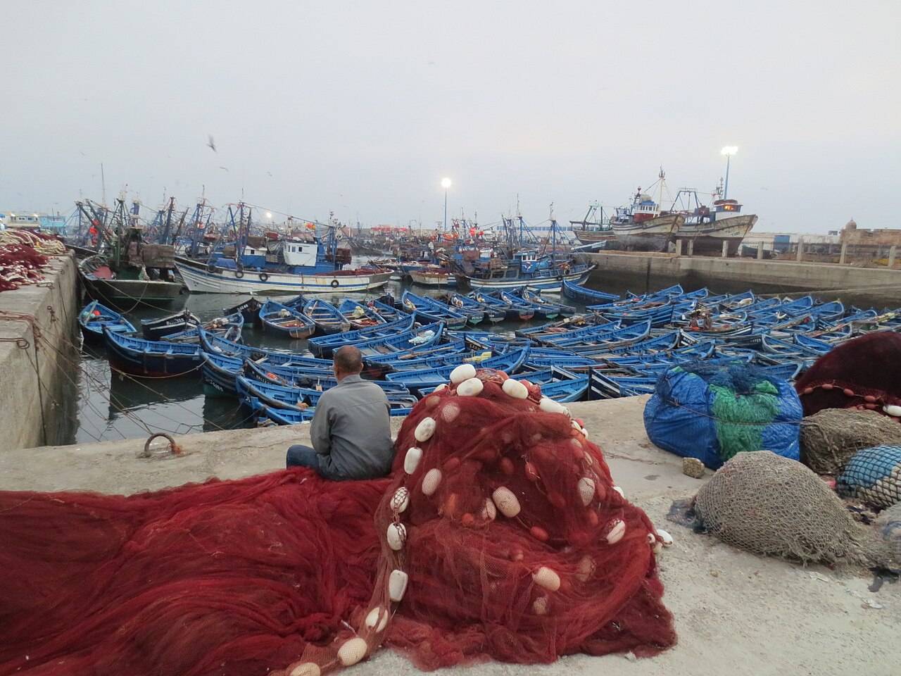 Essaouira day trip