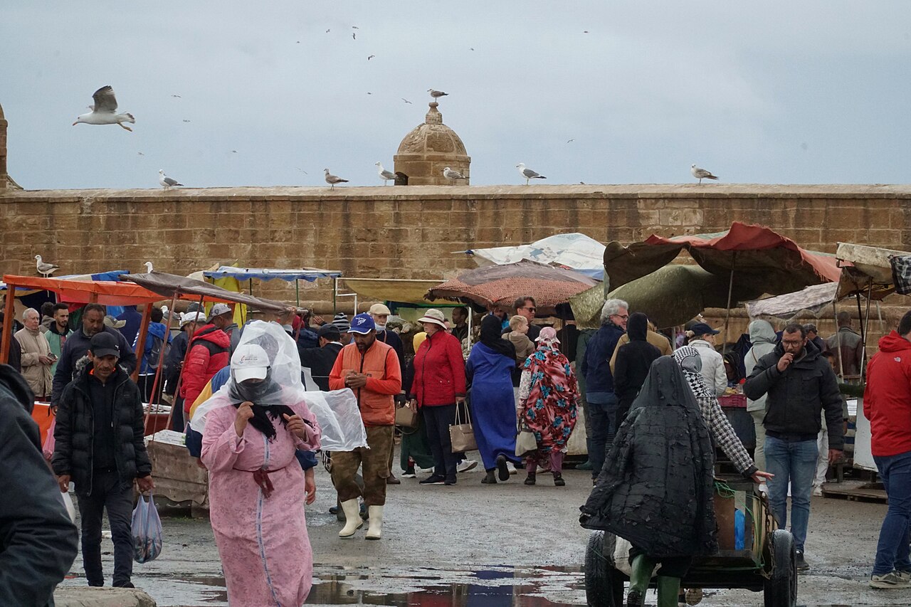 Essaouira day trip photo 2